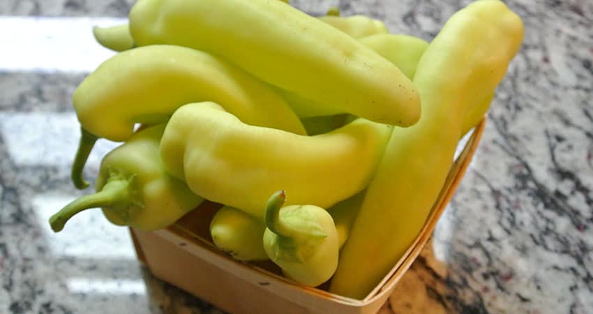 When to Pick Banana Peppers