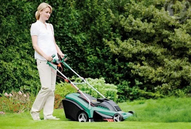 Understanding about Electric Weed Eater