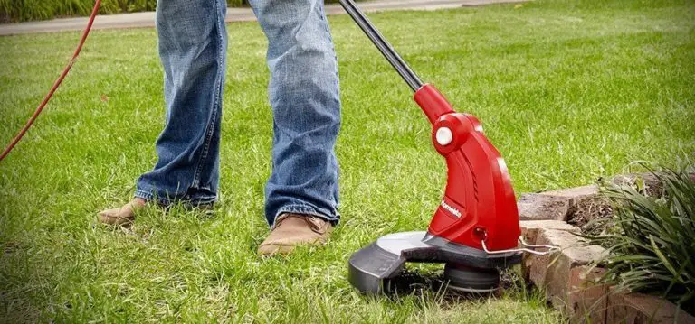 Things to Know about Lawn Mower and Weed Eater