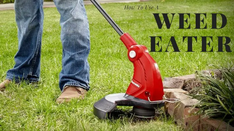 How to Use a Weed Eater