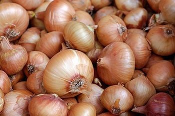 How to Plant Onions in Three Easy Ways