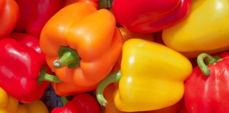 Male and Female Peppers