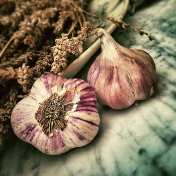 Three Harvests of Garlic