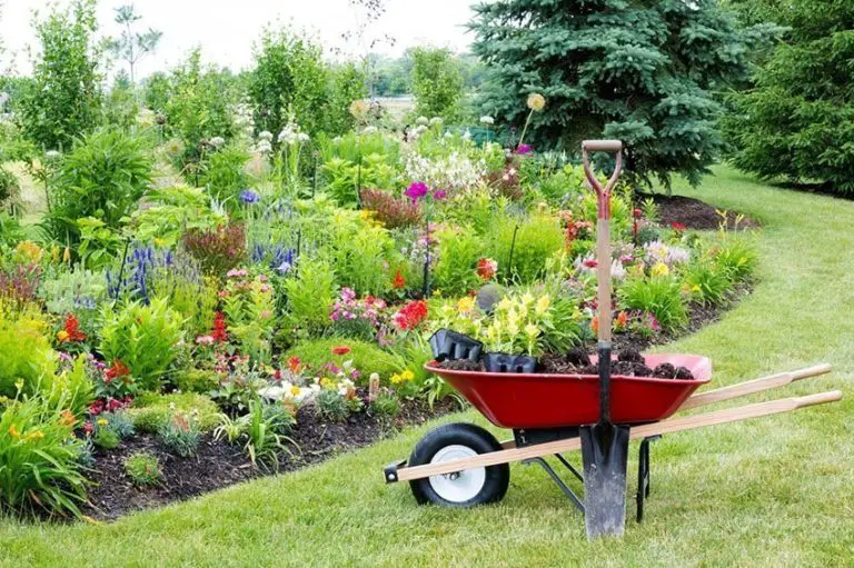 Top Green Landscaping Tips for Beginners