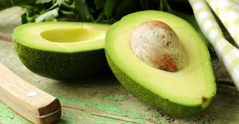 How to Grow an Avocado Plant from Seed