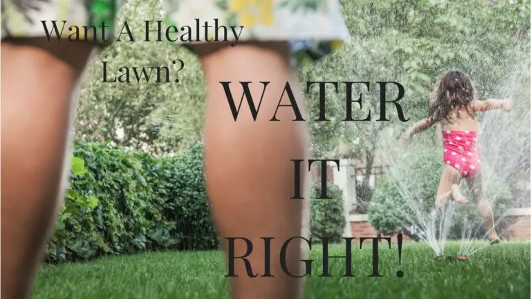 Want A Healthy Lawn? Water It Right
