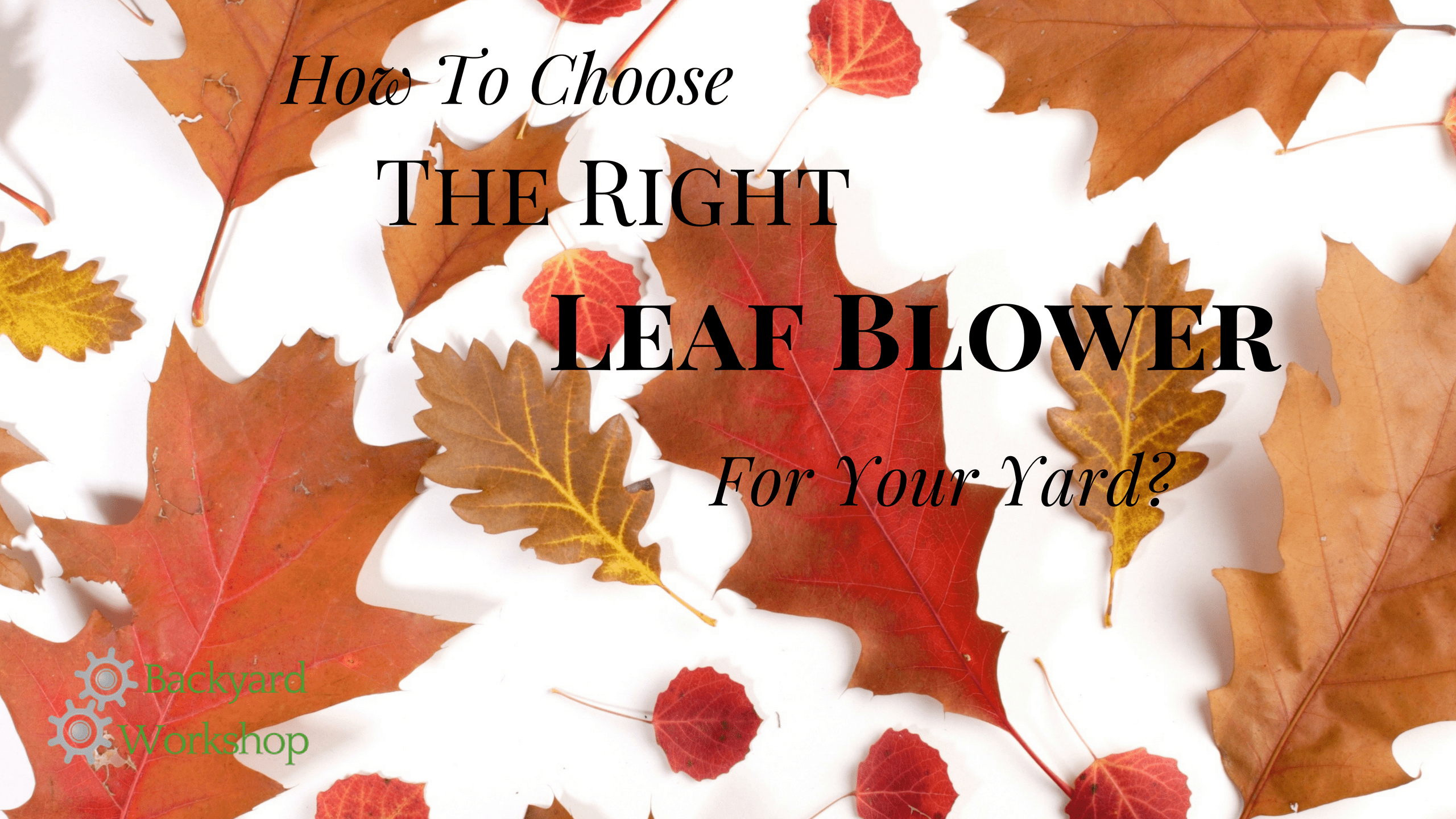 Leaf Blower Buying Guide