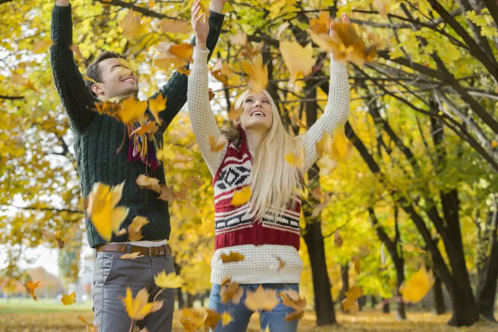 Once you are done with the work, you can enjoy playing in the leaves