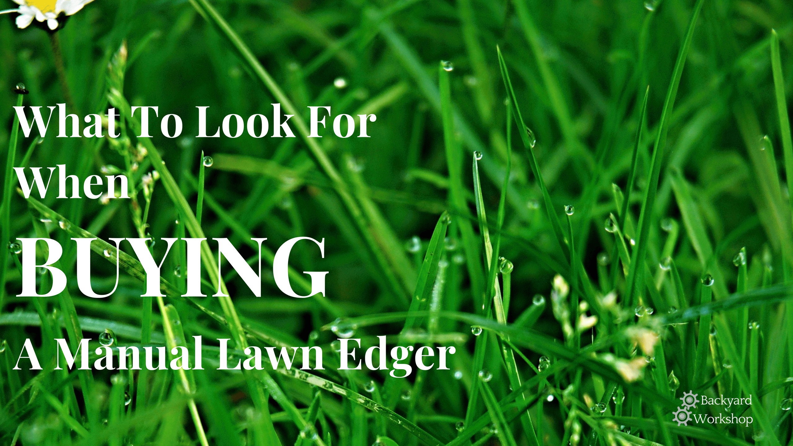 what to look for when buying a lawn edger