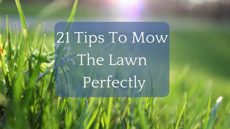 21 Handy Tips To Mow The Lawn Perfectly