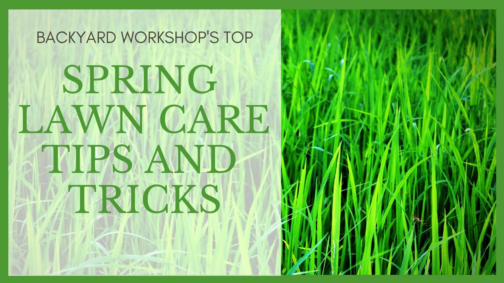 Spring Lawn Care Header