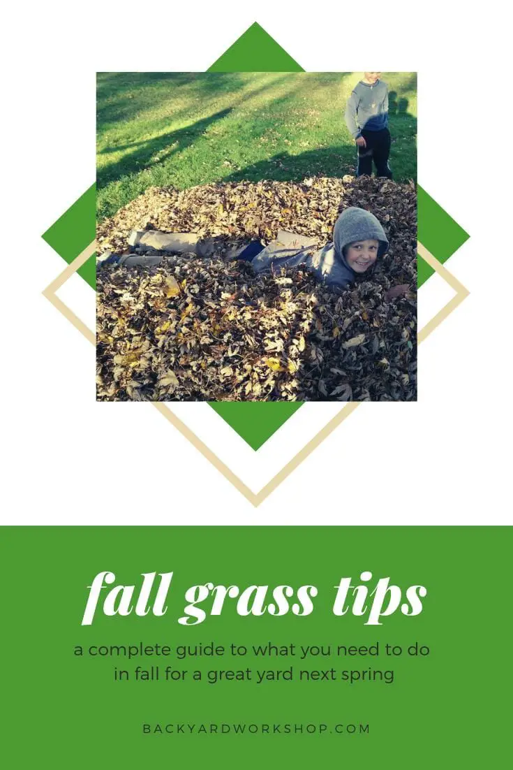 Get all the information you need for fall lawn care that's fast, fun and easy!