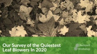 2020 Quiet Leafblower