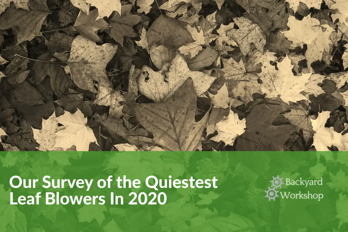 2020 Quiet Leafblower