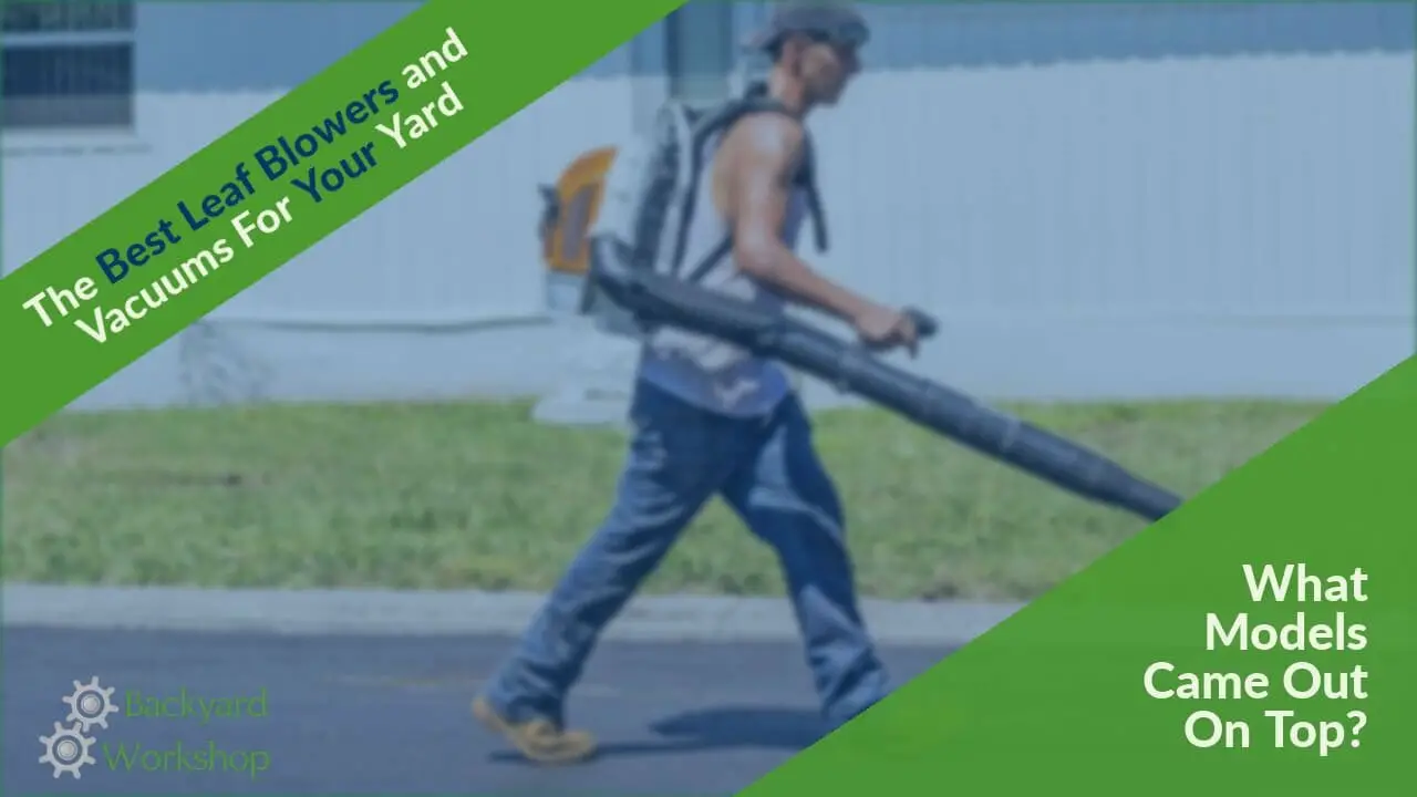 Best Leaf Blower Vac