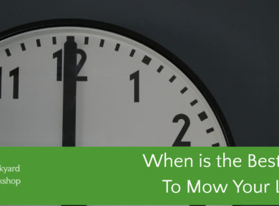 When Is The Best Time To Mow Your Lawn