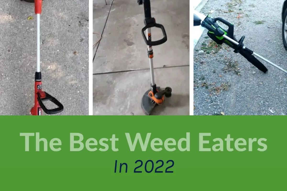 best weed wacker 2022
