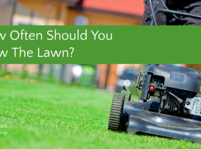 How Often Should You Mow Your Lawn or Yard?