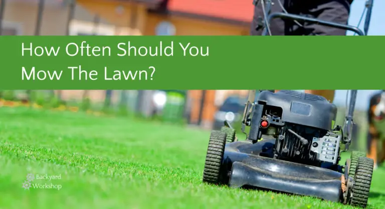 How Often Should You Mow Your Lawn or Yard?