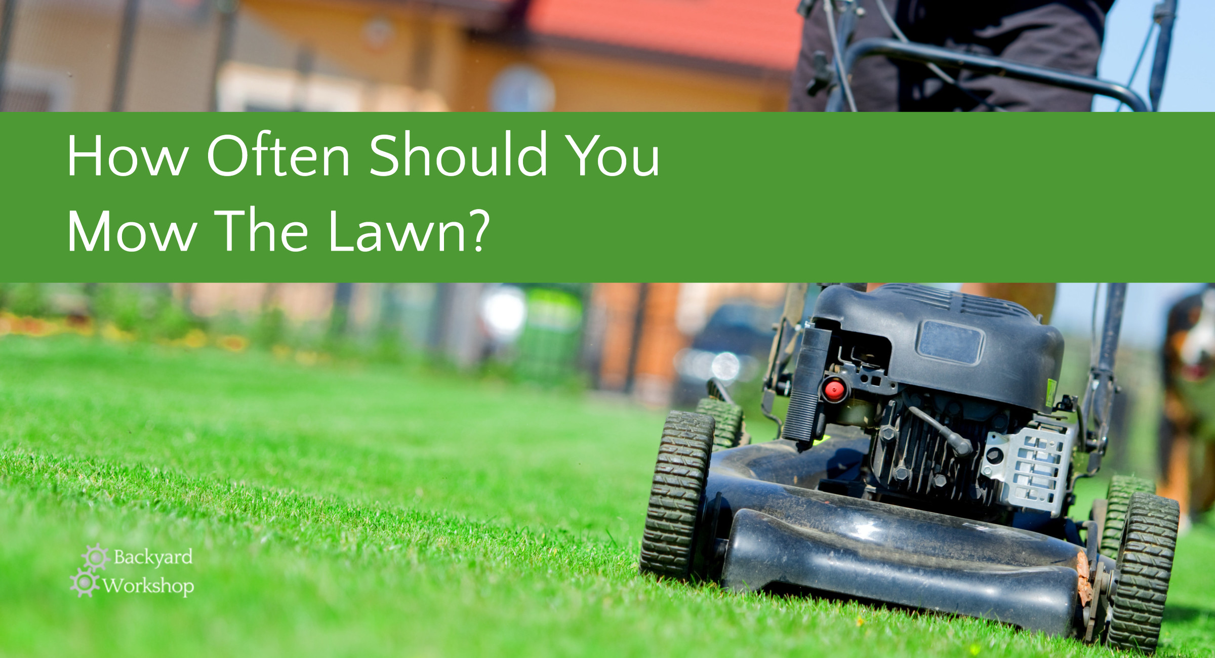 how often mow lawn