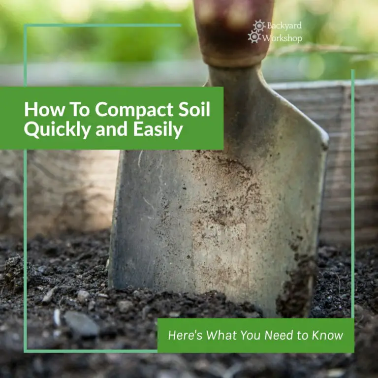 How To Compact Soil Quickly and Easily: Here’s What You Need to Know