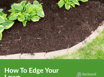 How To Edge Your Lawn - The Right Way