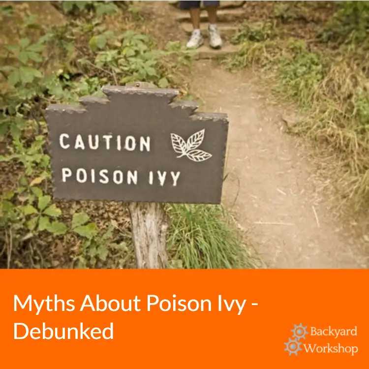 myths about poison ivy