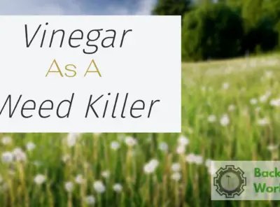 Vinegar As  Weed Killer - Use It The Right Way For Foolproof Weed Control