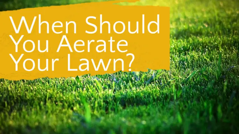 How Often Should You Aerate Your Lawn?